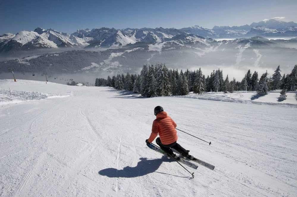 Chalet Hotel Regina Les Gets Dış mekan fotoğraf
