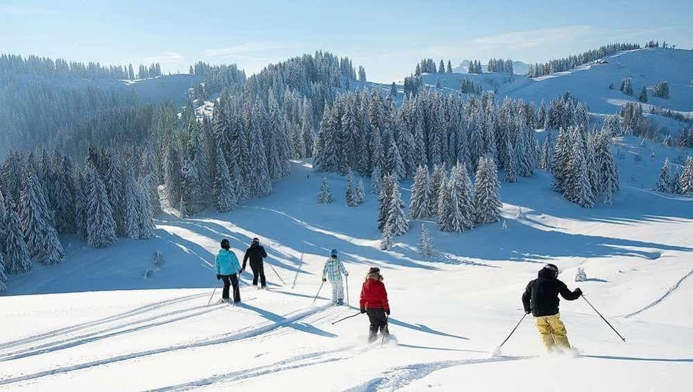 Chalet Hotel Regina Les Gets Dış mekan fotoğraf